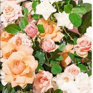 Meet your Posher, Karissa